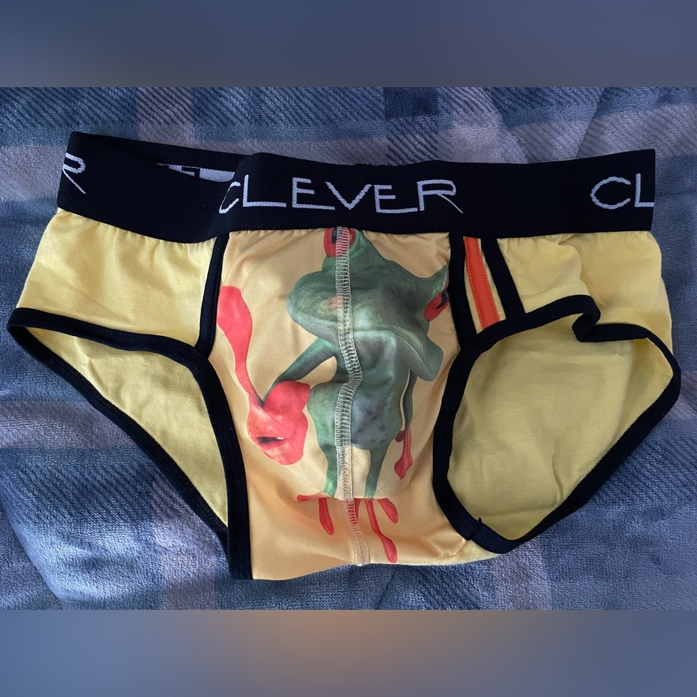 Clever Briefs